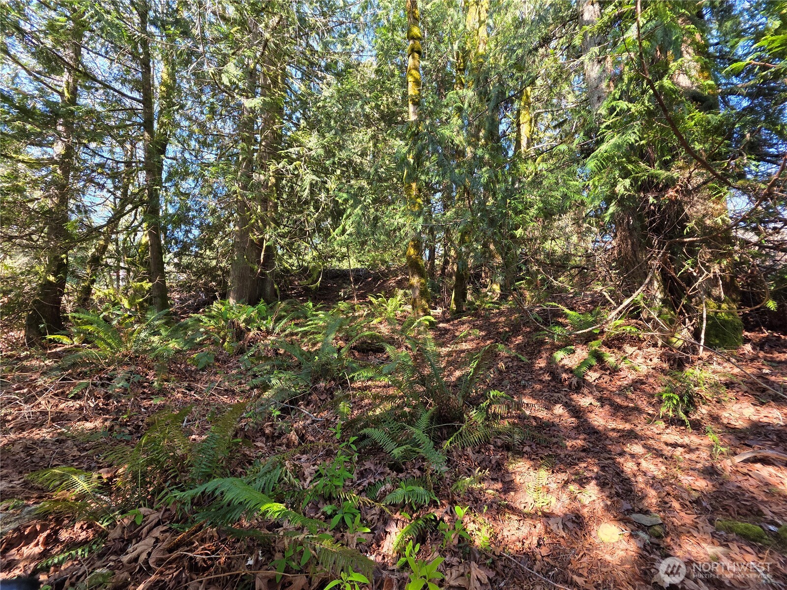 0 Cedar Place Brinnon WA 98320