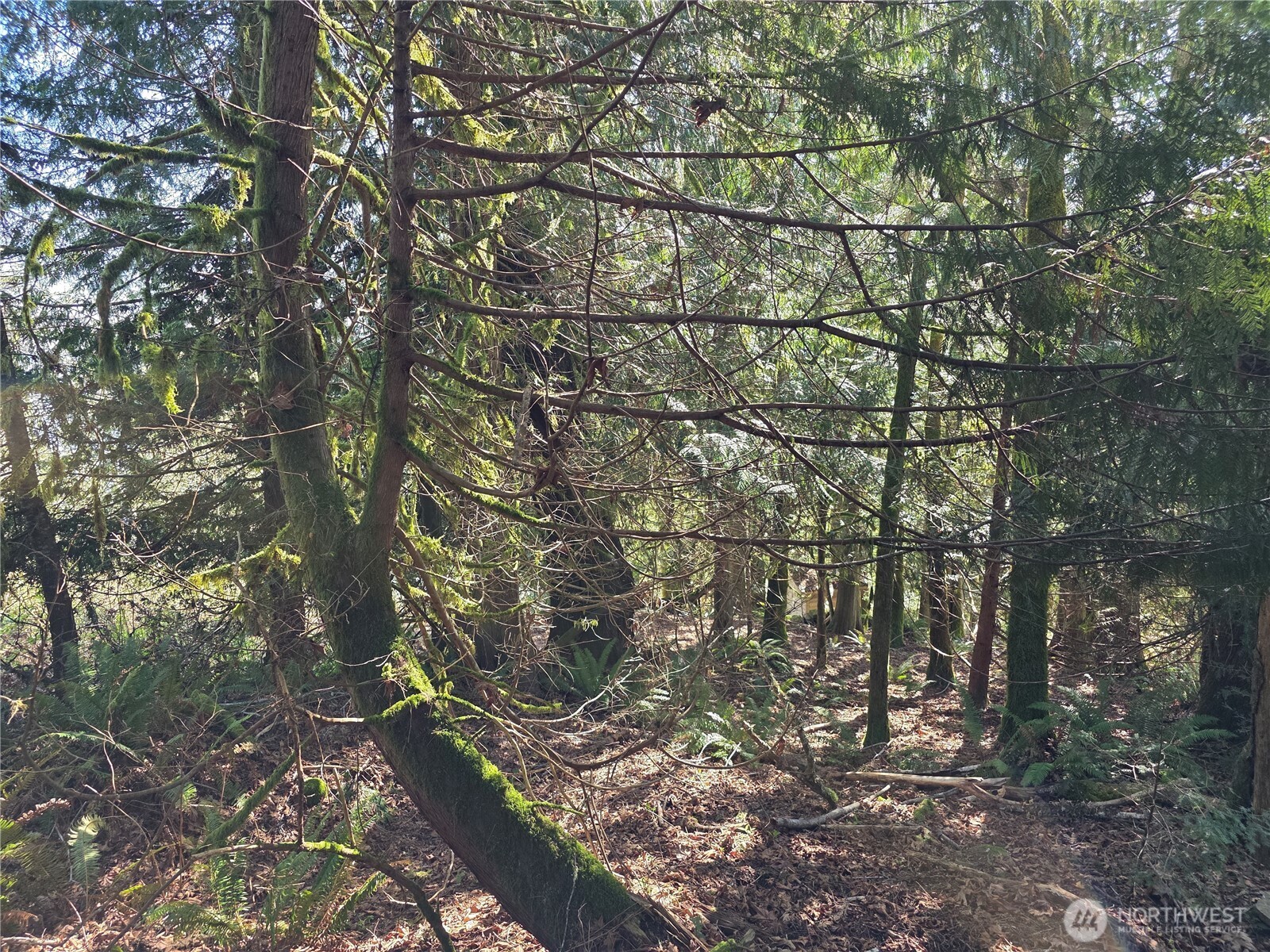 0 Cedar Place Brinnon WA 98320