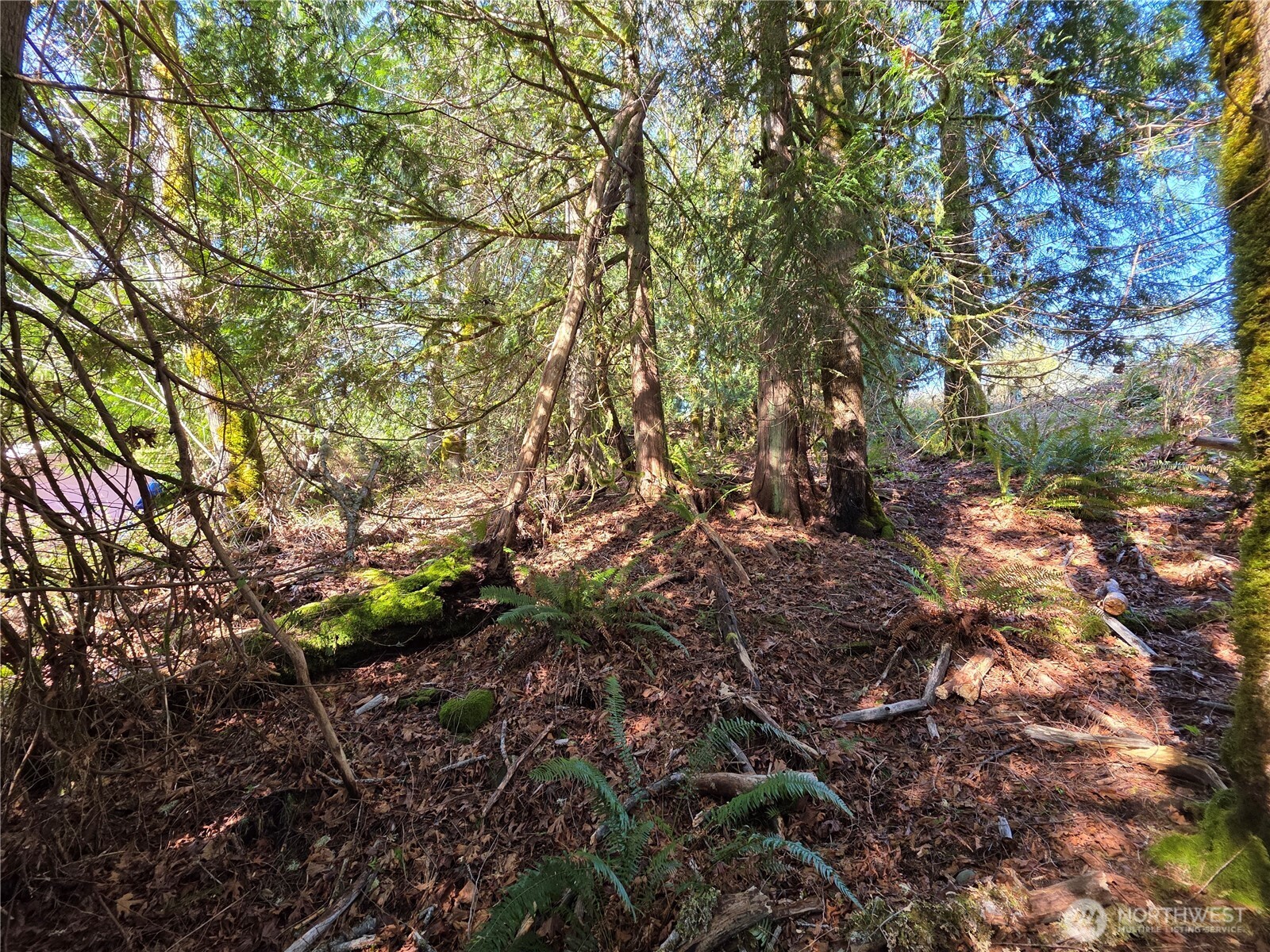 0 Cedar Place Brinnon WA 98320