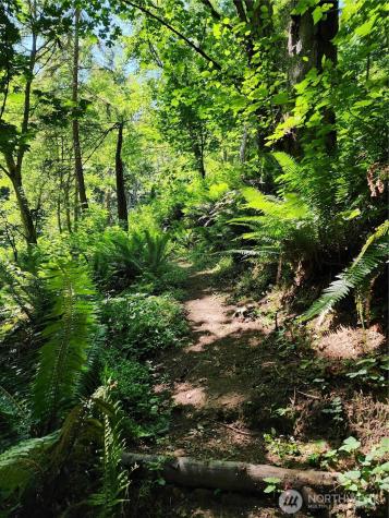 4076 Preserve Drive Camano Island WA 98282