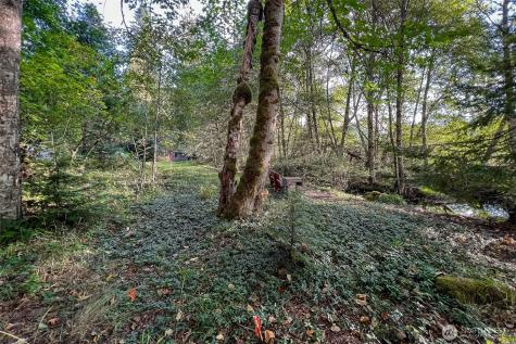 104 Rainbow Place White Pass WA 98361