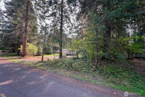 104 Rainbow Place White Pass WA 98361