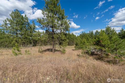 35450 Prairie Lane N Creston WA 99117