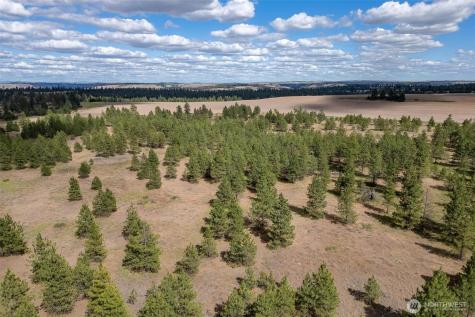 35450 Prairie Lane N Creston WA 99117