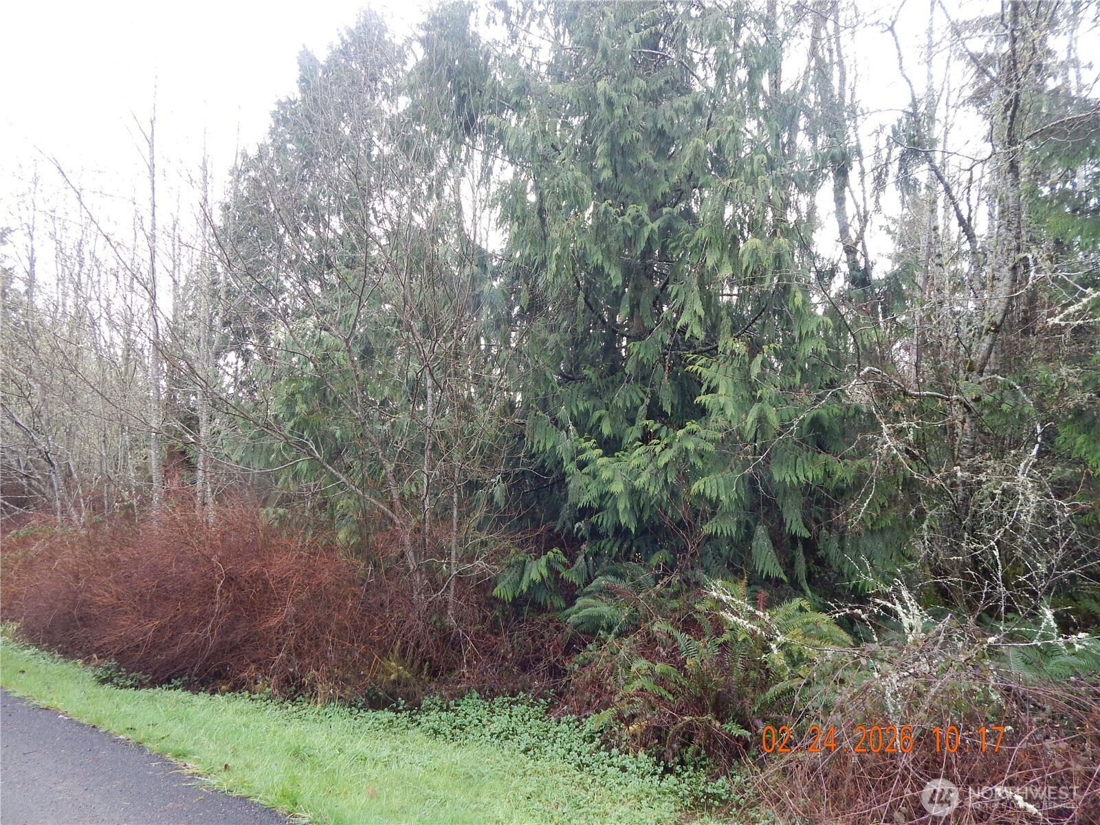 9999 Farrington Road Port Angeles WA 98363