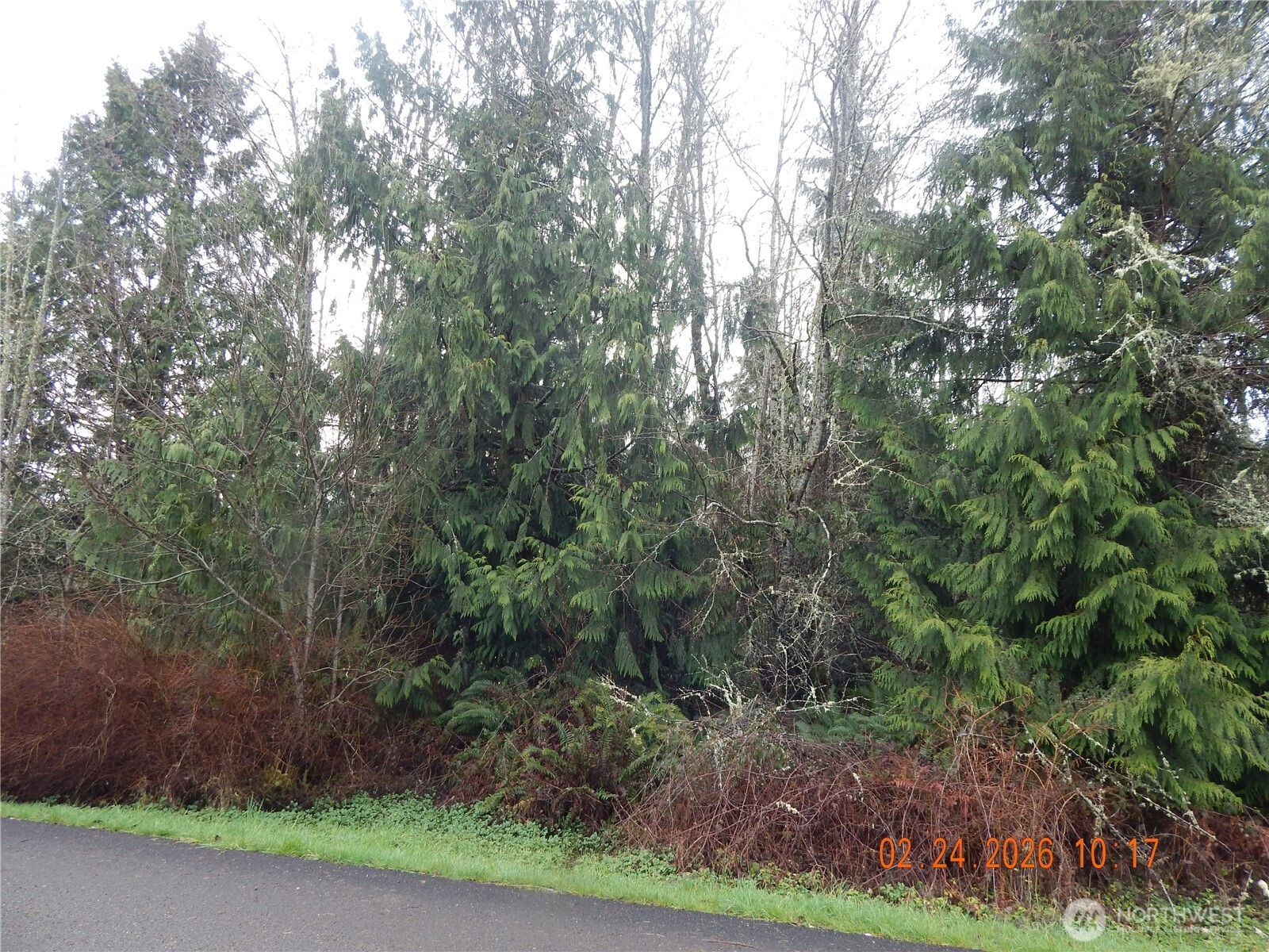 9999 Farrington Road Port Angeles WA 98363