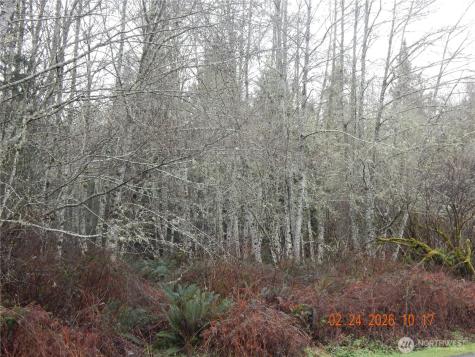 9999 Farrington Road Port Angeles WA 98363