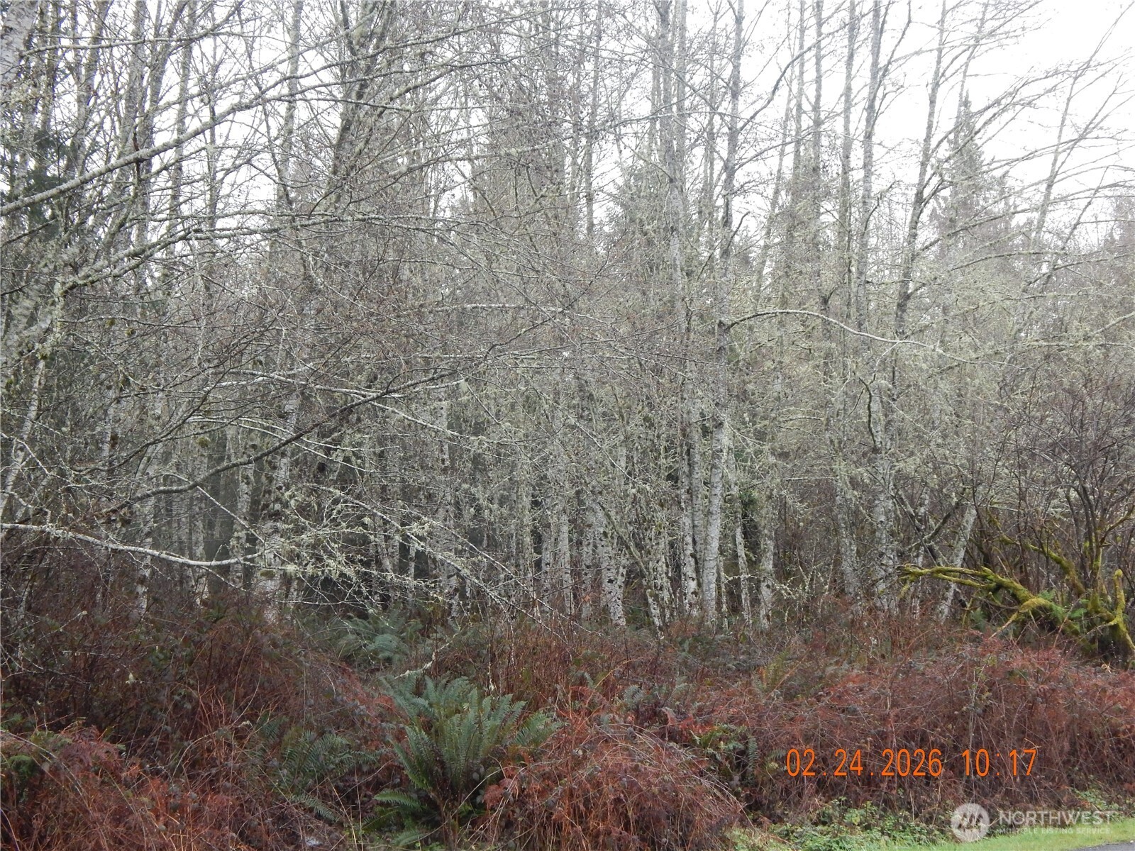9999 Farrington Road Port Angeles WA 98363