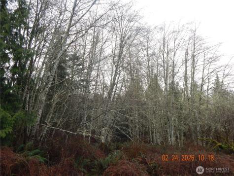 9999 Farrington Road Port Angeles WA 98363