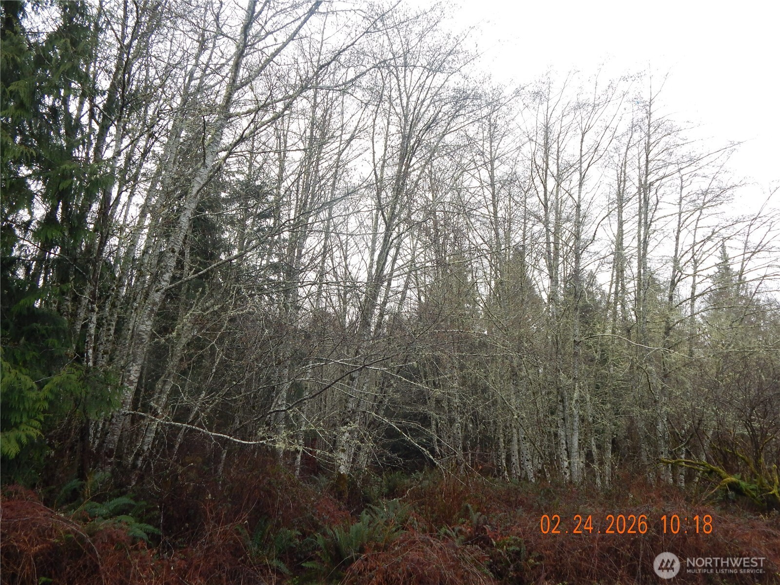 9999 Farrington Road Port Angeles WA 98363