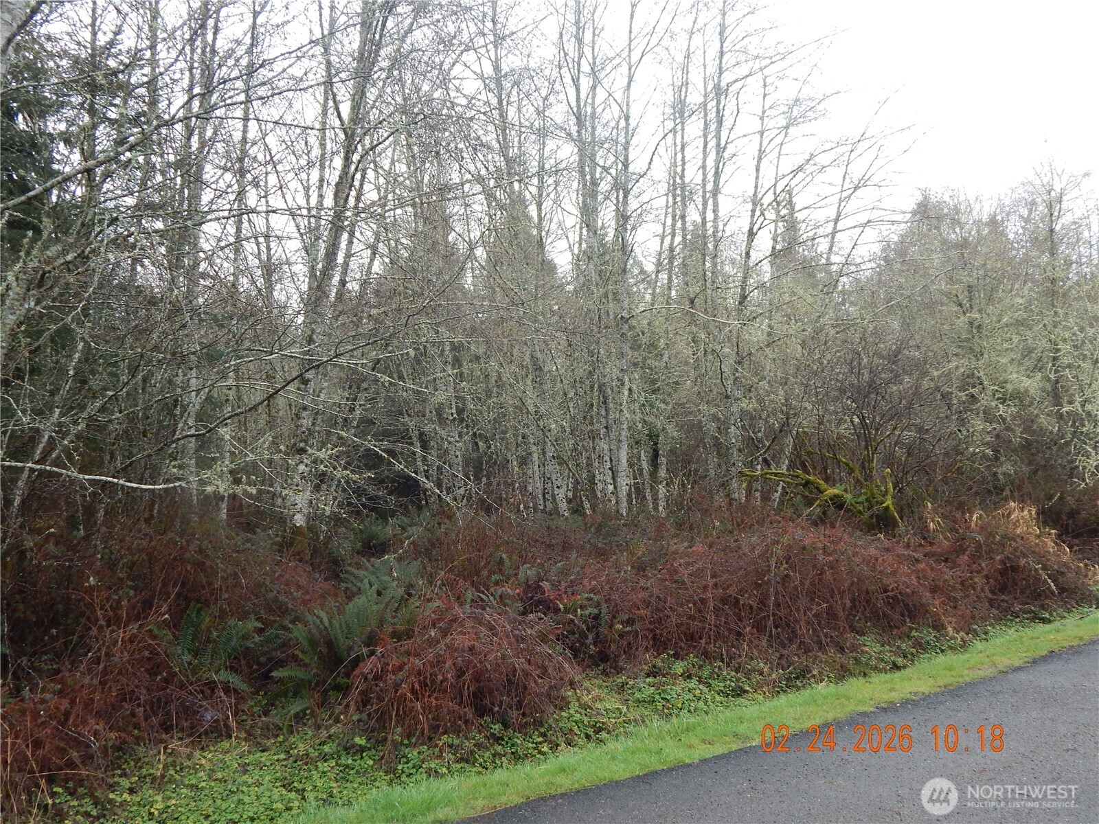 9999 Farrington Road Port Angeles WA 98363