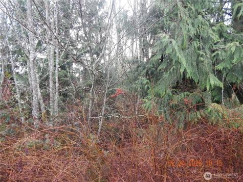 9999 Farrington Road Port Angeles WA 98363