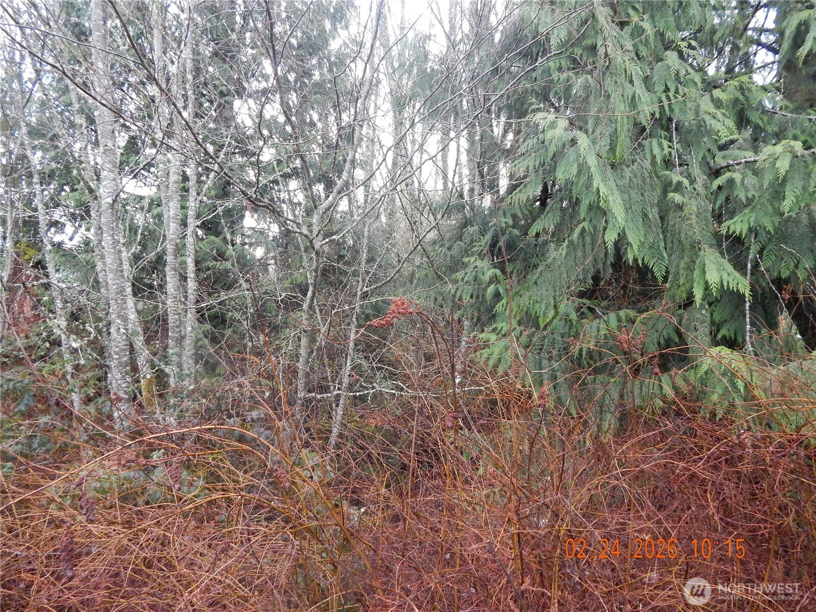 9999 Farrington Road Port Angeles WA 98363