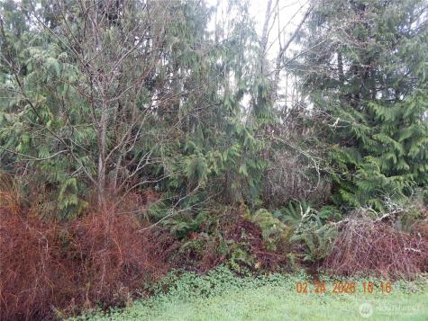 9999 Farrington Road Port Angeles WA 98363