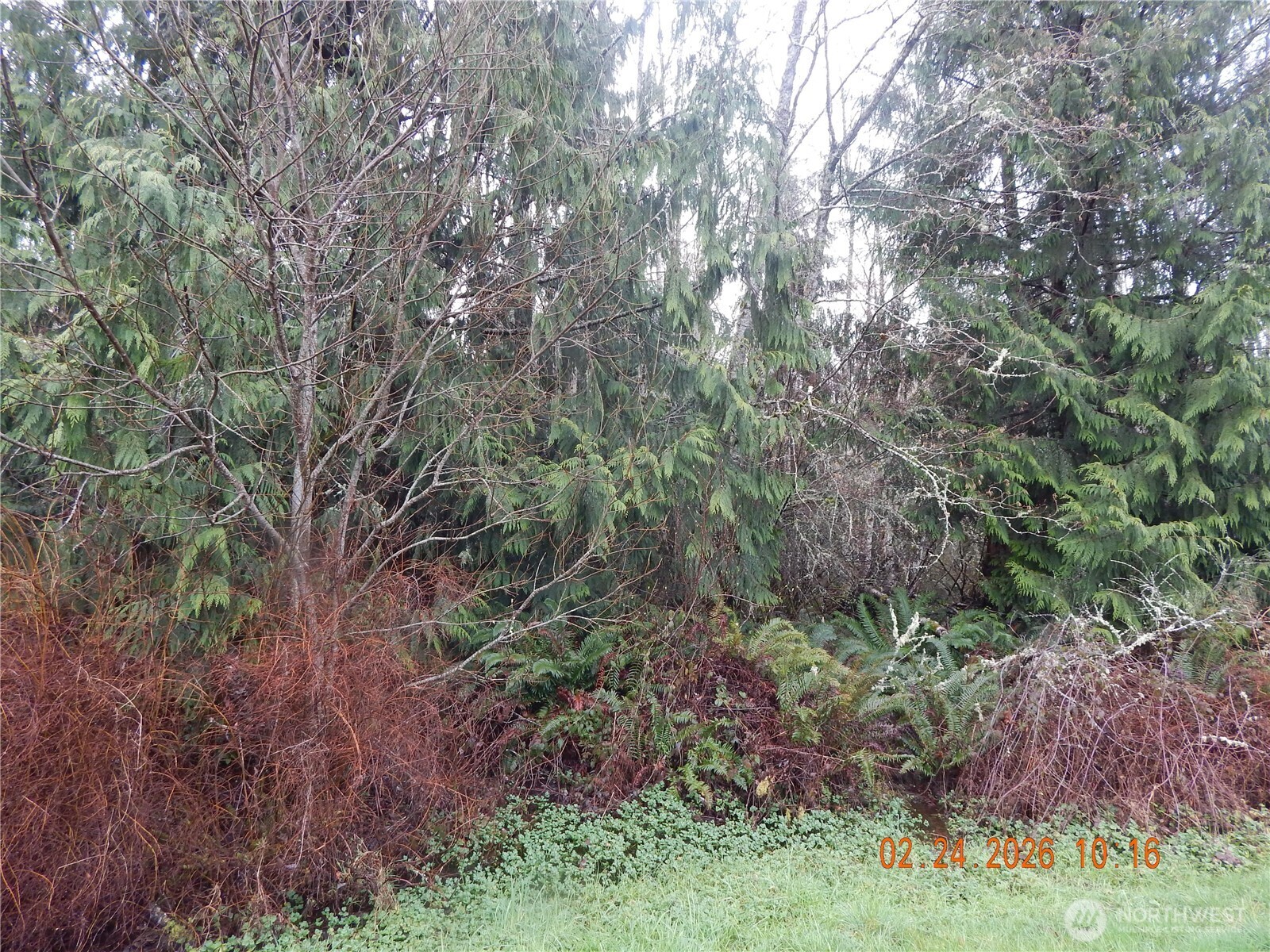 9999 Farrington Road Port Angeles WA 98363