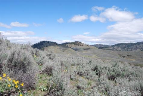 0 Lower White Road Tonasket WA 98855