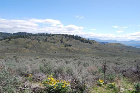 0 Lower White Road Tonasket WA 98855