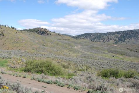 0 Lower White Road Tonasket WA 98855