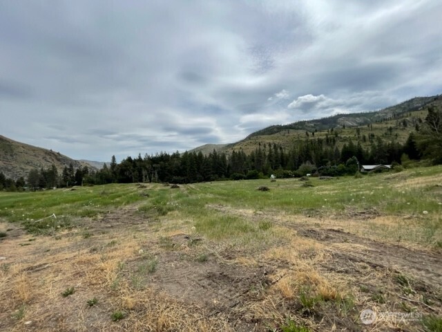 4 Lot 4 - Black Canyon Road Pateros WA 98846