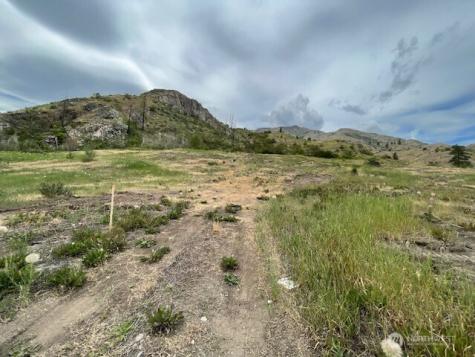4 Lot 4 - Black Canyon Road Pateros WA 98846