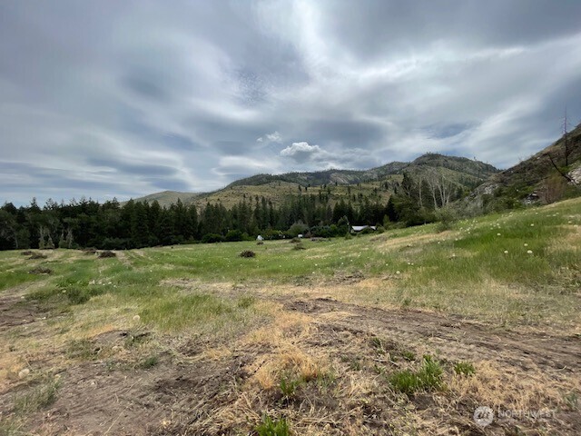 4 Lot 4 - Black Canyon Road Pateros WA 98846