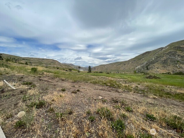 4 Lot 4 - Black Canyon Road Pateros WA 98846
