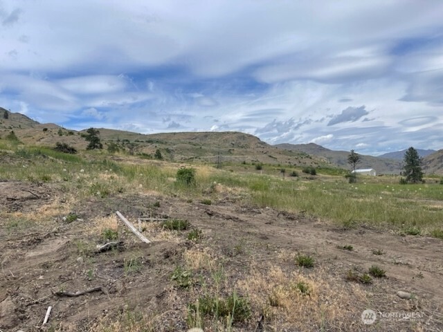 4 Lot 4 - Black Canyon Road Pateros WA 98846