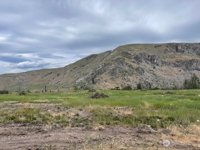 4 Lot 4 - Black Canyon Road Pateros WA 98846