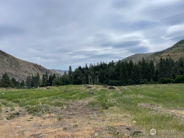 4 Lot 4 - Black Canyon Road Pateros WA 98846