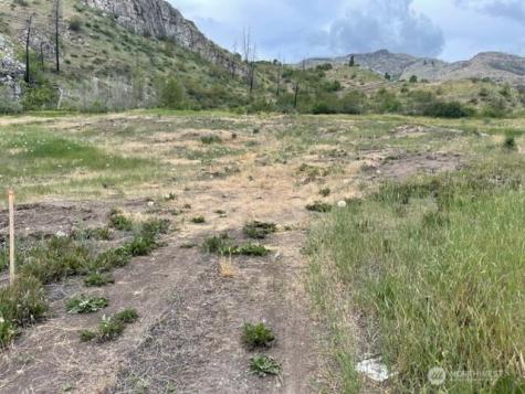 4 Lot 4 - Black Canyon Road Pateros WA 98846
