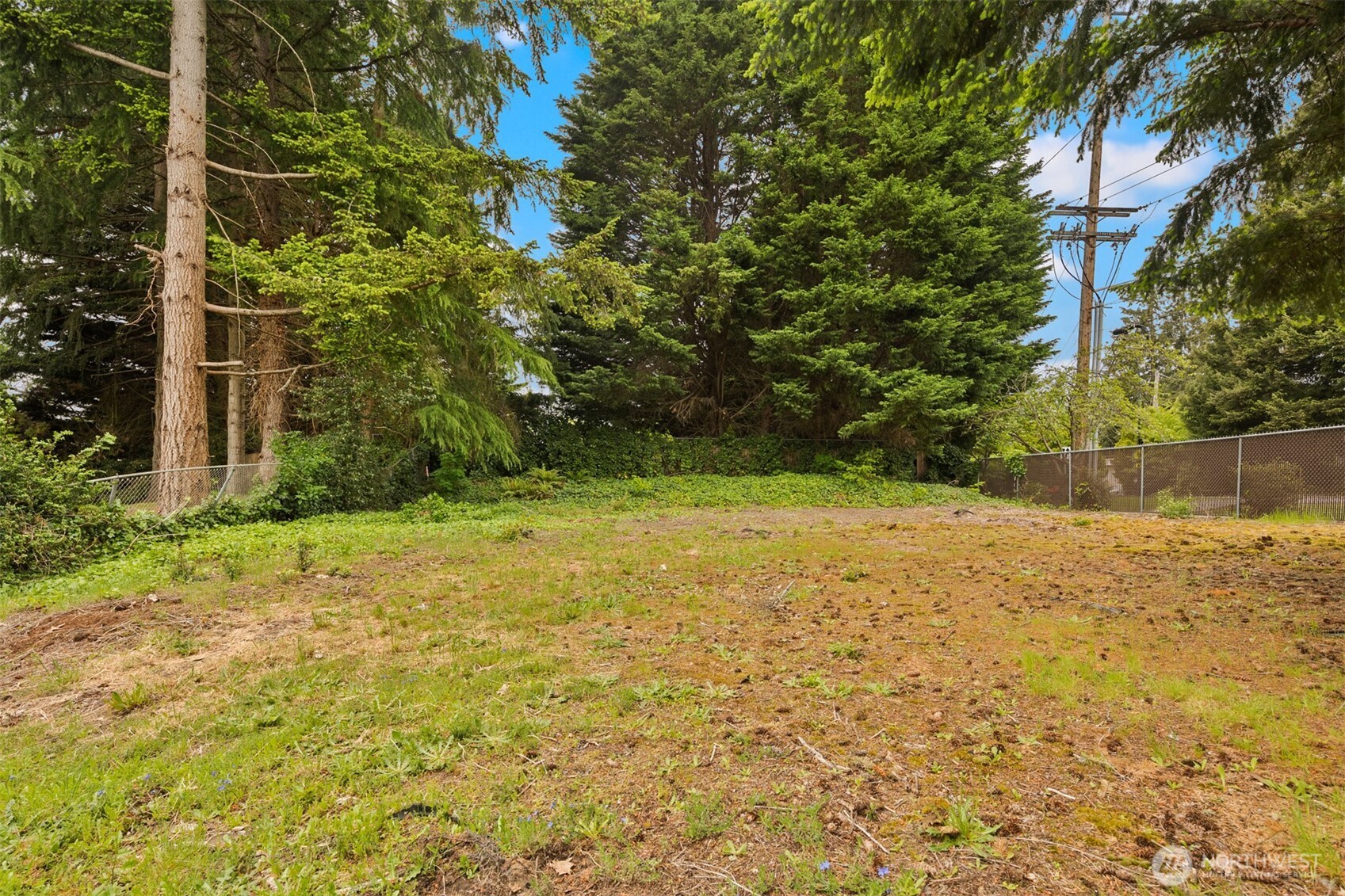 2329 167th Avenue NE Bellevue WA 98008