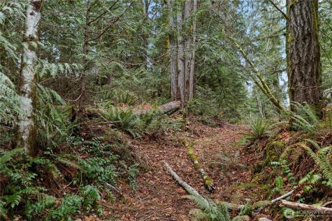 0 N Olympic Trails Drive Lilliwaup WA 98555