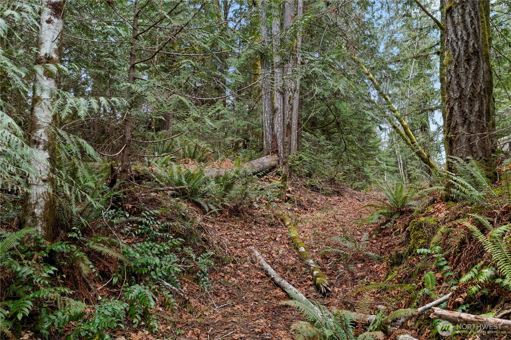 0 N Olympic Trails Drive Lilliwaup WA 98555