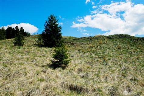 61 Janet Marie Road Oroville WA 98844