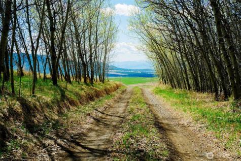 61 Janet Marie Road Oroville WA 98844