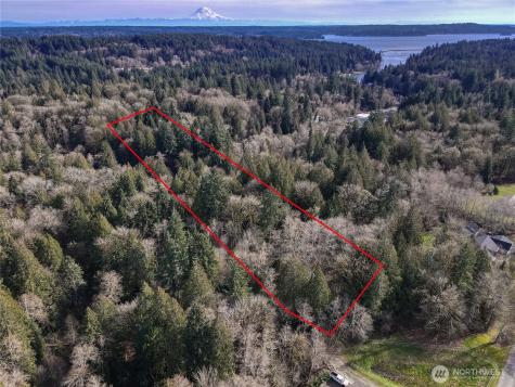 12402 131st Street NW Gig Harbor WA 98329