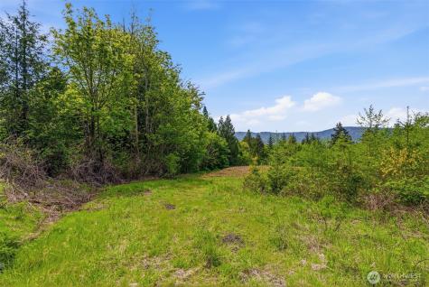 0 E State Route 4 Cathlamet WA 98612
