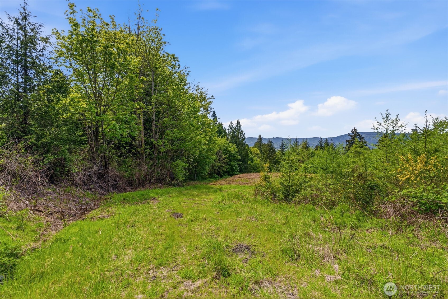 0 E State Route 4 Cathlamet WA 98612