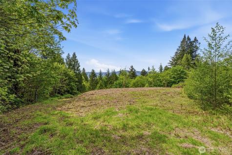0 E State Route 4 Cathlamet WA 98612