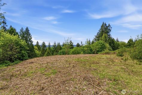 0 E State Route 4 Cathlamet WA 98612