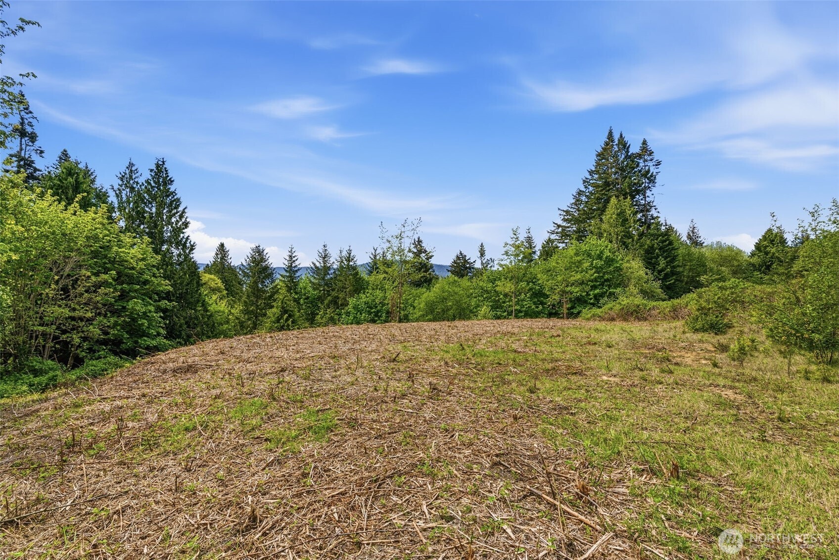 0 E State Route 4 Cathlamet WA 98612