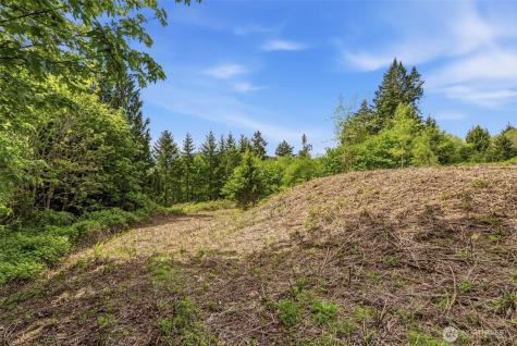 0 E State Route 4 Cathlamet WA 98612
