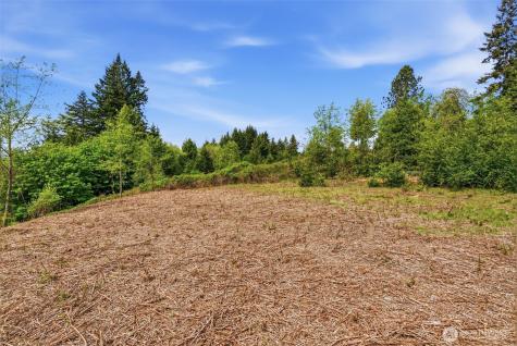 0 E State Route 4 Cathlamet WA 98612