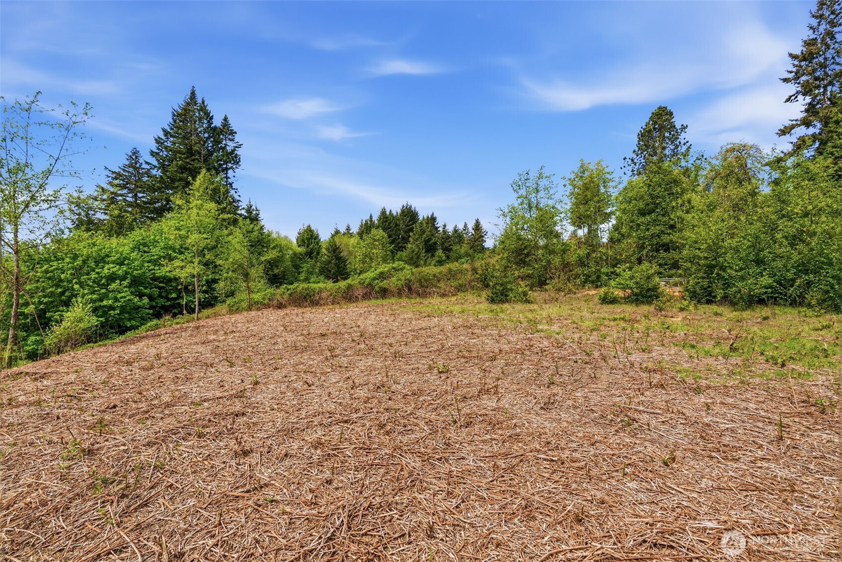 0 E State Route 4 Cathlamet WA 98612