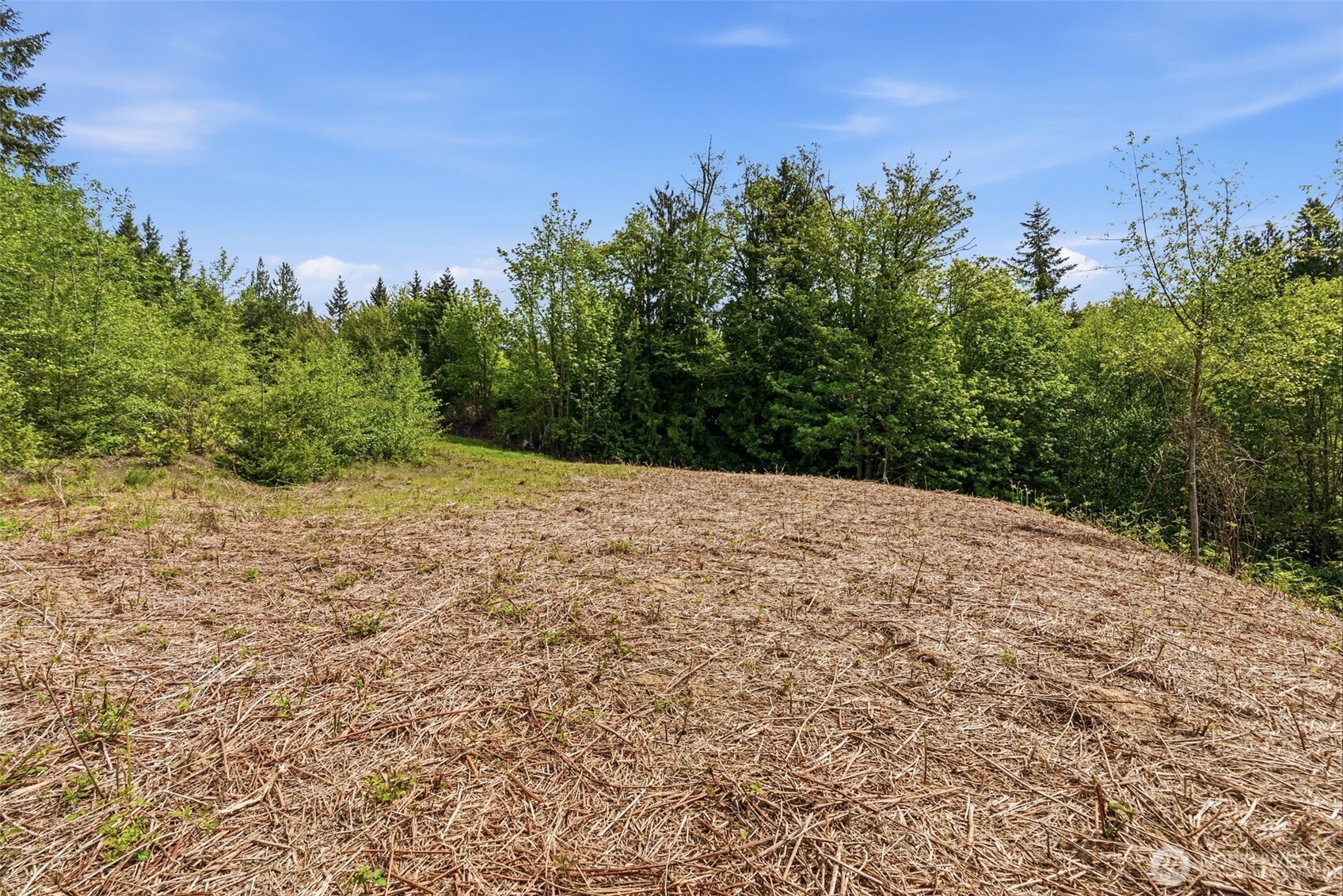 0 E State Route 4 Cathlamet WA 98612