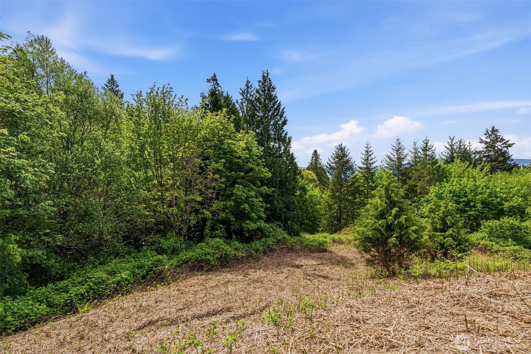 0 E State Route 4 Cathlamet WA 98612