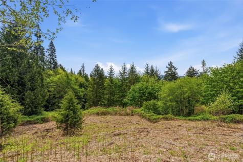 0 E State Route 4 Cathlamet WA 98612
