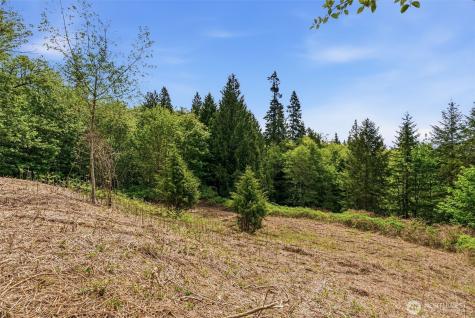 0 E State Route 4 Cathlamet WA 98612