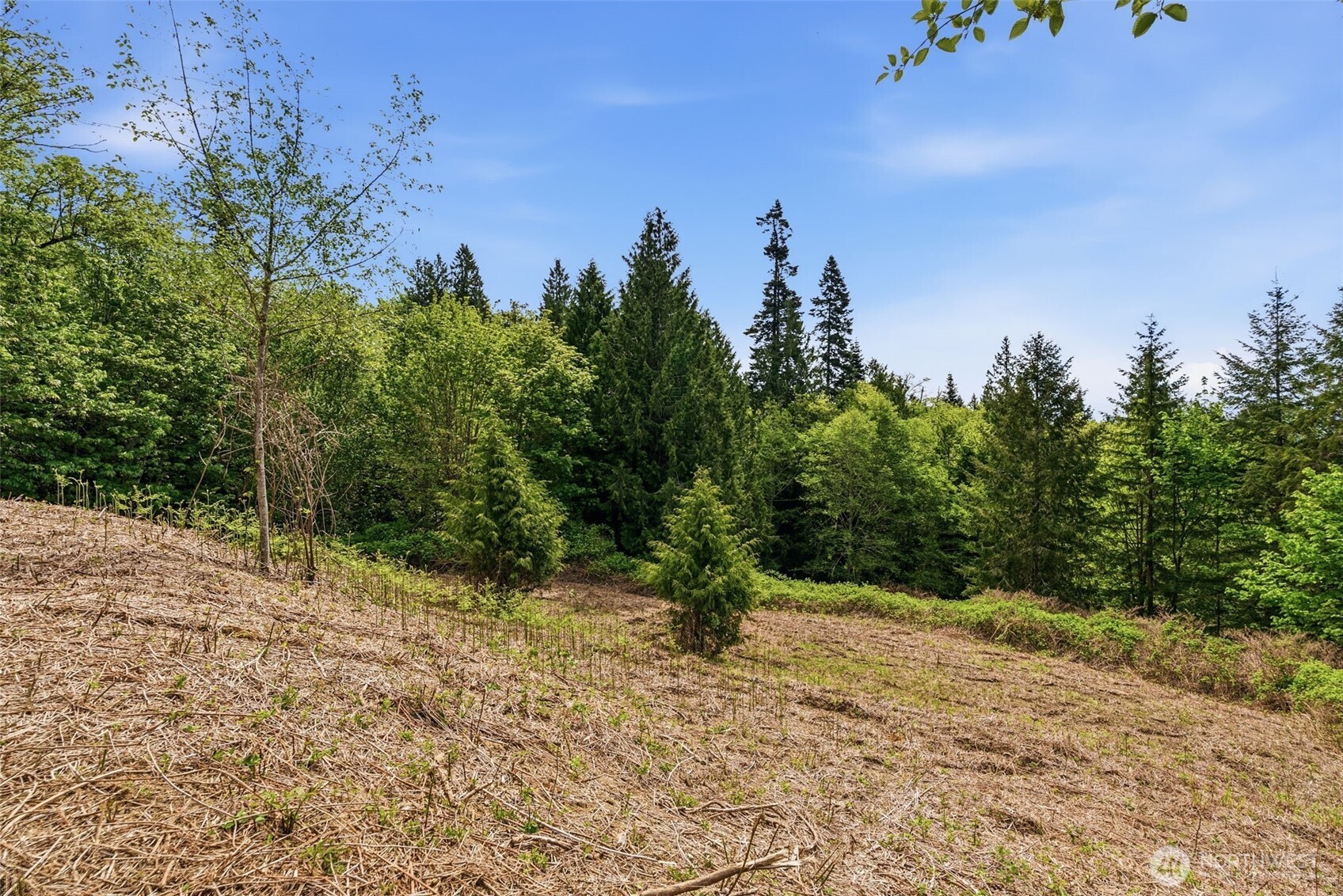 0 E State Route 4 Cathlamet WA 98612