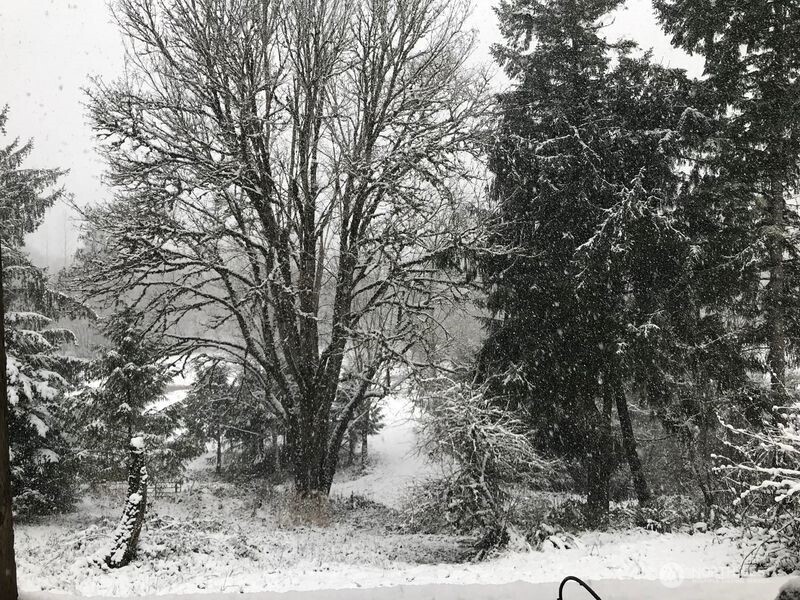 106 Crocker Lake Road Quilcene WA 98376